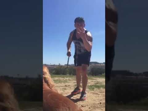 Cómo entrenar a tu perro para que no te haga caso