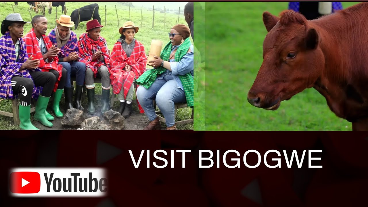 Welcome to BIGOGWE the best place to visit in Rwanda 