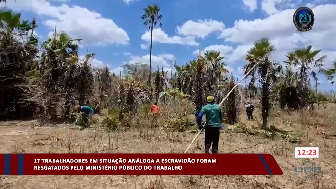 17 trabalhadores em situação análoga a escravidão são resgatados pelo MPT PI 06 10 2023