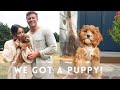 Picking up our Cavapoo Puppy!! And our first 6 month recap, training, pros and cons, etc!