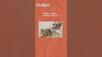 Aprende Sobre Galangal En Tu Huerto Huerto Huerta Cosecha Siembra Galangal 
