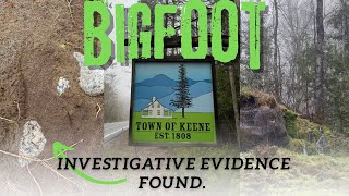 Keene NY Bigfoot investigation - Evidence Found!