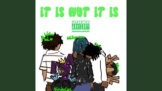 it is wut it is (feat. SSRqistolqete, snos, NINJA KAT & R3nea)