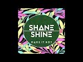 Shane Shine - Make It Hot (Original Mix)