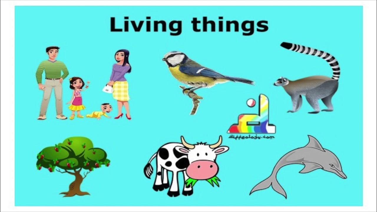 Living things around us контрольная работа