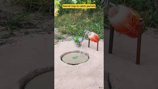 Secret trap to catch parrots😯 #birds #ফাঁদ #birdtrap #tiyapakhi #cartoon #পাখি #টিয়া