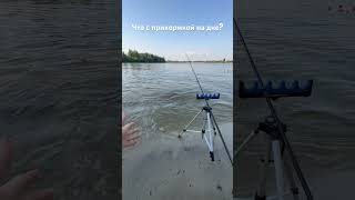 Что с прикормкой на дне? #fishing #рыбалканафидер #рыбалкавкиеве #рыбалка
