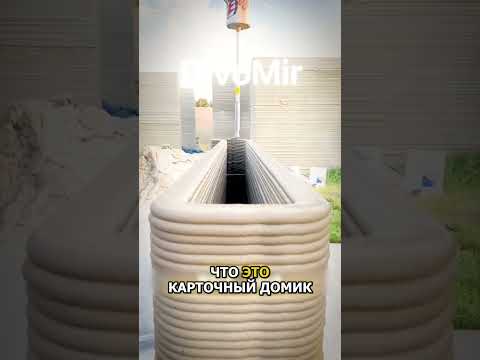 Напечатали дом и заработали 