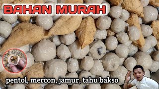 UNTUNG MELIMPAH!! cara membuat pentol bakso enak kenyal jual murah untung melimpah