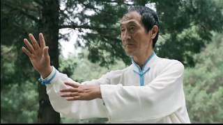 Kungfu - Lesson 1: realxing Exercises