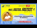 STRUCTURAL ORGANIZATION IN ANIMALS  I LIVE | ZOOLOGY I ARVIND Sir | FAST...FASTER...FASTEST SERIES