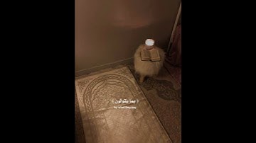 تلاوة رائعة وراحة نفسية /قران كريم/اجر لي ولك ولمن بعدك /اسلام صبحي