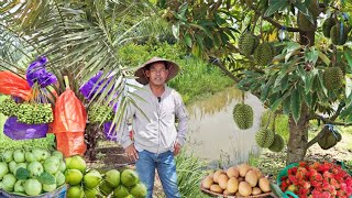 เกษตรผสมผสานเพื่อการเกษียณ ปลูกทุเรียนอินทรีย์แบบบ้านๆเน้นหลักการธรรมชาติ