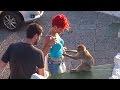 Rock of Gibraltar funny Monkeys & Tourists 2015 and best observation