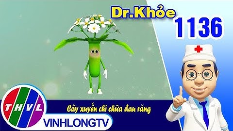 Dr. Khỏe - Tập 1136: Cây xuyến chi chữa đau răng
