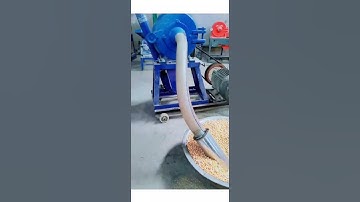 corn grinder, homemade poultry feed to reduce feeding cost #corngrinder #feedpelletmachine