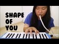 Shape Of You - Ed Sheeran | Cindy Felicia | Melodica Cover