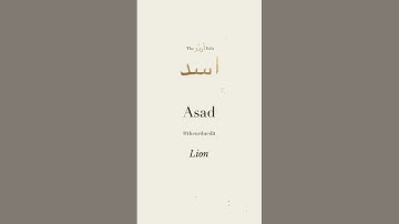 Asad Name Status With best music video 🎼🎵