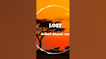 Afrobeat Type Beat LOST Afrobeat Instrumental 