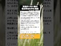「お迎えの時間、変更して」いじめられっ子の小３娘が初めて遊びに行った結果。相手ママからの『電話』に涙が止まらない…😭 #感動する話 #涙腺崩壊
