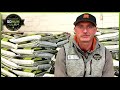 Raised Beds & No-Till systems with Sohum Soils