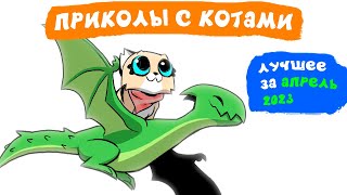 Приколы с котами. ЛУЧШЕЕ ЗА АПРЕЛЬ 2023 | Мемозг