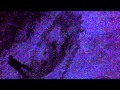 #SALTO W TYŁ BLAZE IT 720 SURRENDER AT 20