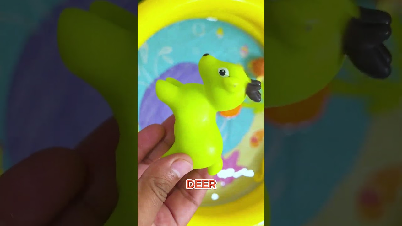 Fish in the Ocean | Kids Knowledge  