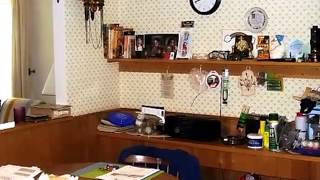 210 E 13th St video tour