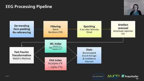 The Emotion-Cognition Interaction: Effects of Emotional Distractors on Working Memory Load