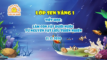 TIẾT HỌC: LÀM CON VẬT DƯỚI NƯỚC TỪ NGUYÊN LIỆU THIÊN NHIÊN