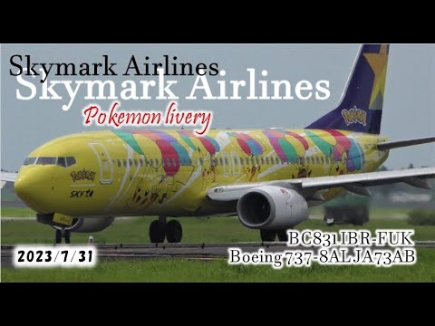 航空機・ヘリコプター Skymark B737-800 JA73NG Pokemon Skymark