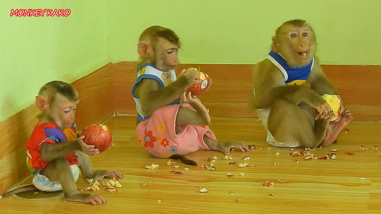 Brother Kako With Two Sister Baby Luna And Tiny Eating Apple Fruits