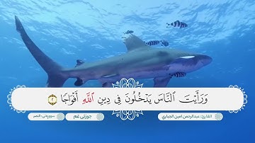 سورة النصر ترتيل رائع بصوت القارئ عبدالرحمن امين الجباري