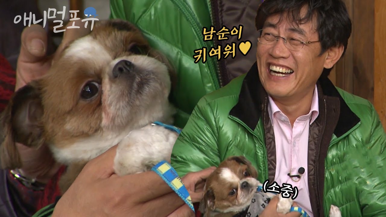 이경규가 보자마자 찐웃음 짓게 만든 강아지?! 귀염둥이 시추 남순이와 경규옹의 첫 만남🐶  l KBS 남자의 자격 101121 방송
