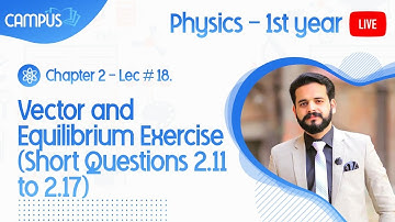 11th Physics Ch. 2 Lecture 18 Vector and Equilibrium Exercise (Short Questions 2.11 to 2.17)