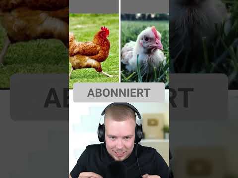 Video: Was sind Animationsbilder?