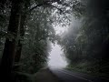 Fermata In Disturbed Air - A Silent Hill Album
