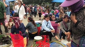 Chợ phiên vùng cao cốc ly. Bán toàn hàng quý hiếm- dê núi-lợn đen-lợn cắp nách | người vùng cao tv,