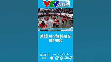 Lễ hội câu cá trên băng tại Hàn Quốc | VTVWDB