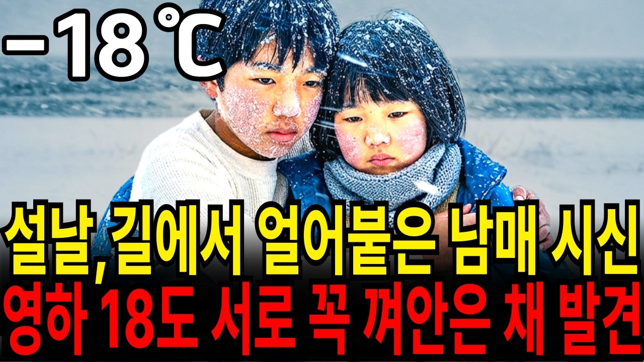 1990년, 설날에 이혼한 엄마 보겠다고 집을 나간 남매... 폭설 내린 국도변에서 '눈사람'처럼 얼어붙은 채 발견