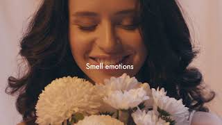 AI decoding tool Myrissi™ aligns colours with fragrances