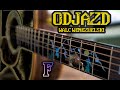 Venezuelan Waltz  - FDST cover (ft. Michał De Lorm)