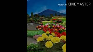 ASMA SAKTI (ASMA LISYAMSYI/MATAHARI) ASMA PEMBAKAR KHODAM DAN JIN YANG NEGATIF/JAHAT.