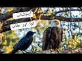 کوا اور عقاب #اردوکہانی #urdustory #stories#eagleandcrow #poem #hindistory