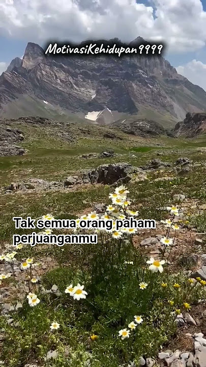 Motivasi Kehidupan ☆ Hari ini mungkin tak ada yang istimewah. #new #shorts #video #viral #motivation
