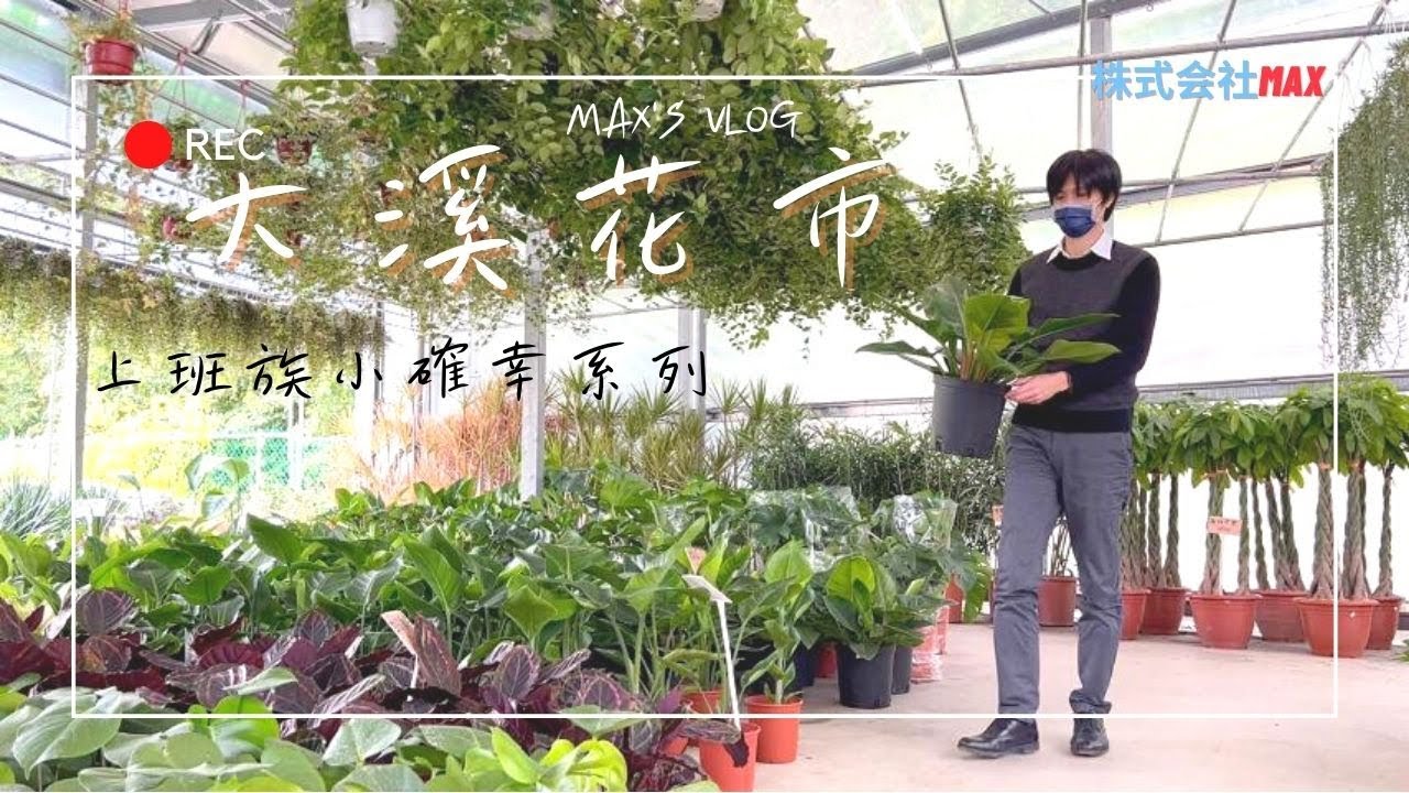 大溪花市 超高CP值 種類超多的花市 上班族小確幸系列 - 株式会社Max