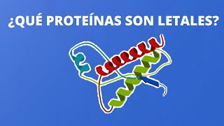 Los priones: las proteínas letales