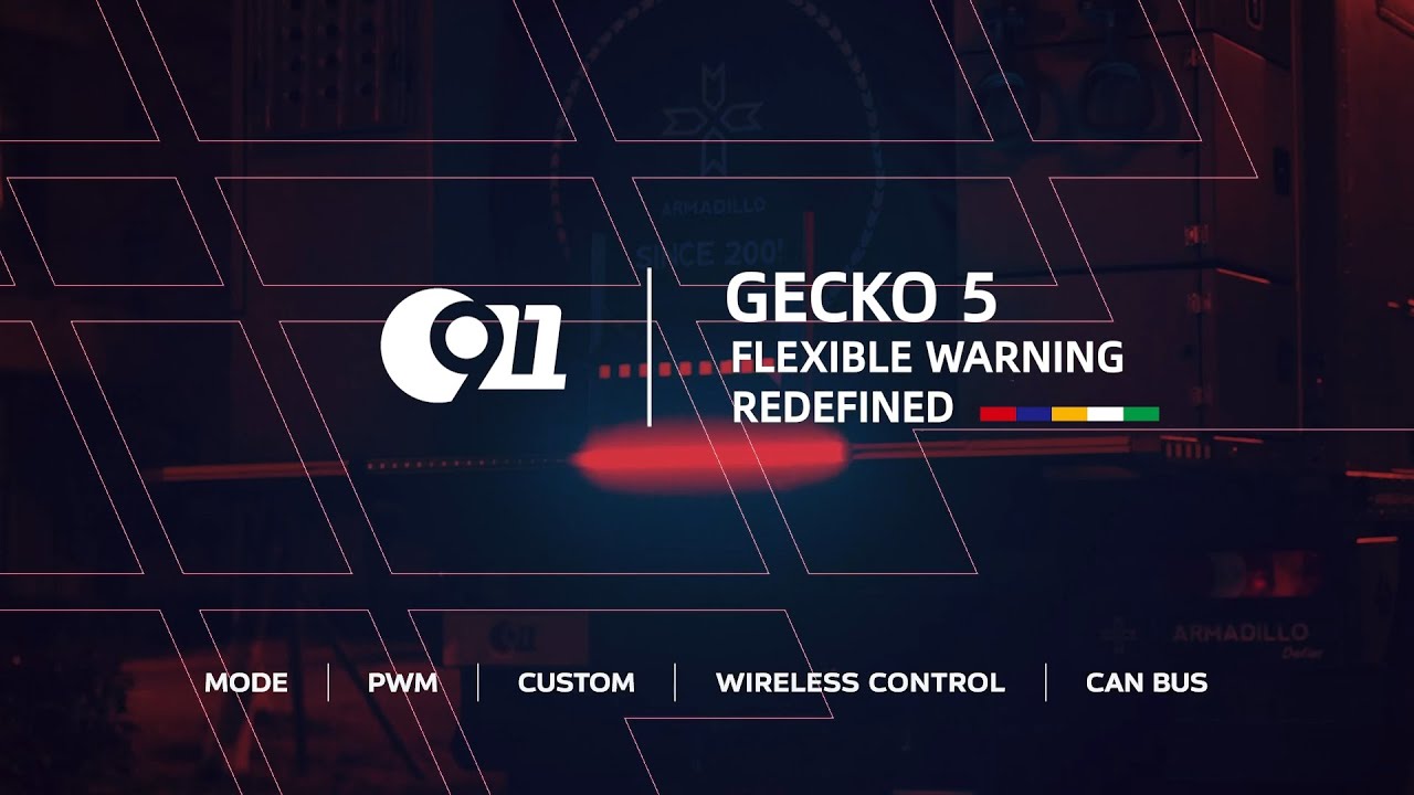 20260106-GECKO 5.mp4