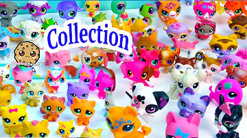 Mega Littlest Pet Shop Collection Tour All Cats Dogs Fairy More Animals LPS Toys Videos Cookieswirlc